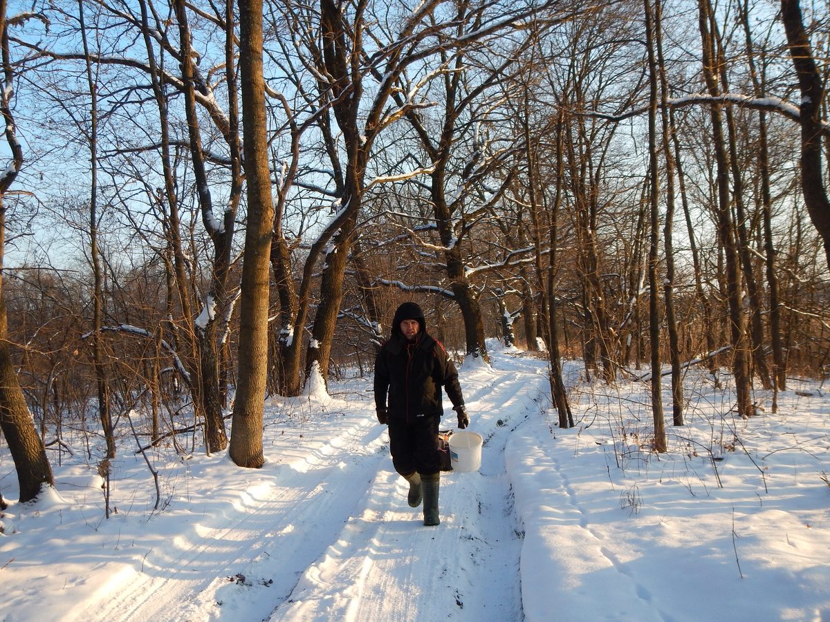 Зарыбление )