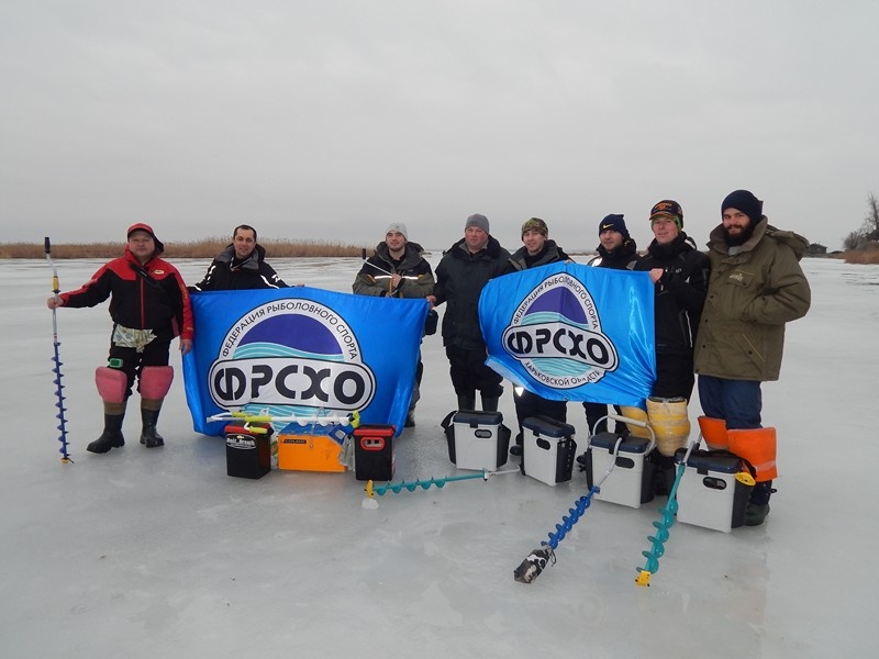 Волевое серебро