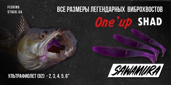 Большое поступление японской «съедобки» Sawamura!
