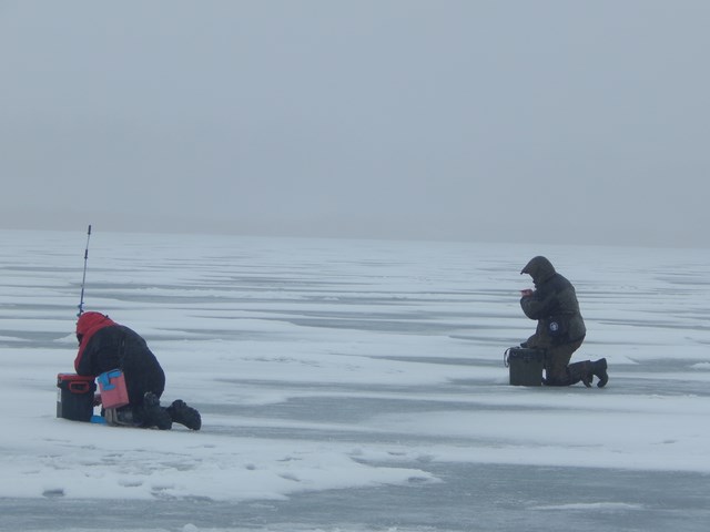 ЧДО на Самаре