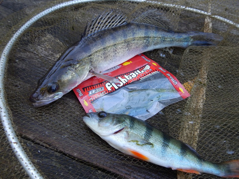 Реинкарнация: знакомство с Bait Breath Fishtail Ringer