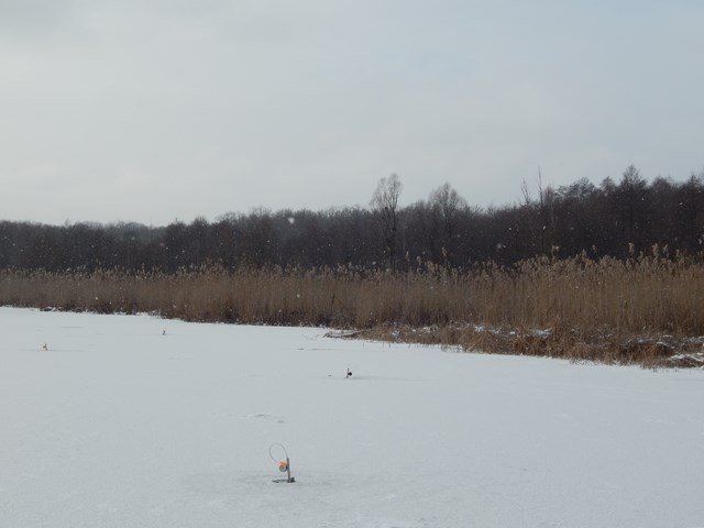 В мороз
