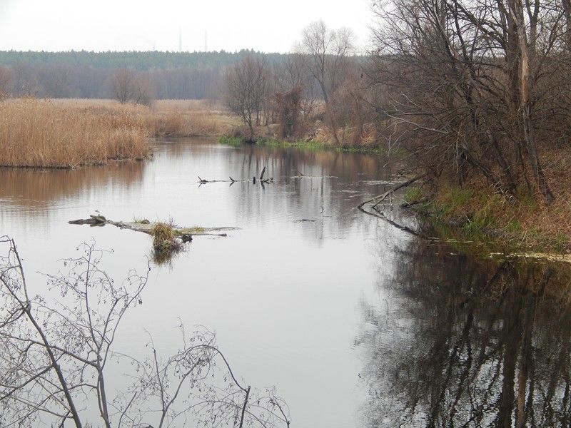 DSCN8063 (Копировать).JPG