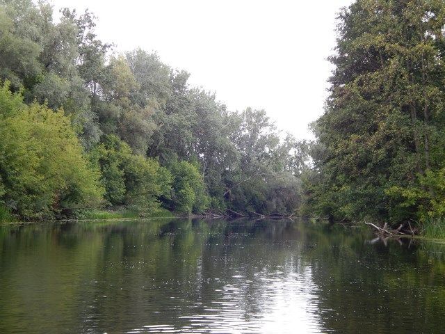 DSCN3104 (Копировать).JPG