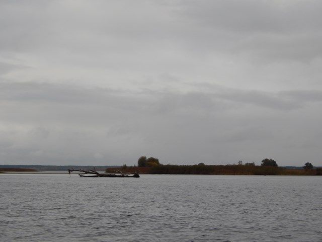DSCN5891 (Копировать).JPG