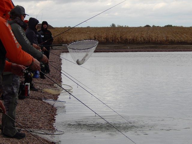DSCN5065 (Копировать).JPG