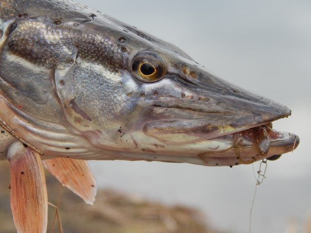 2355769b03219739534ccac266ca3714.JPG