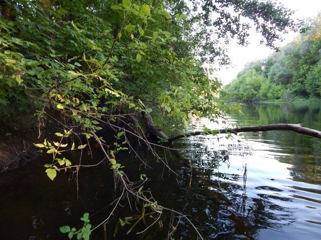 315ace31e5dace62cbebcd3ee096794c.JPG