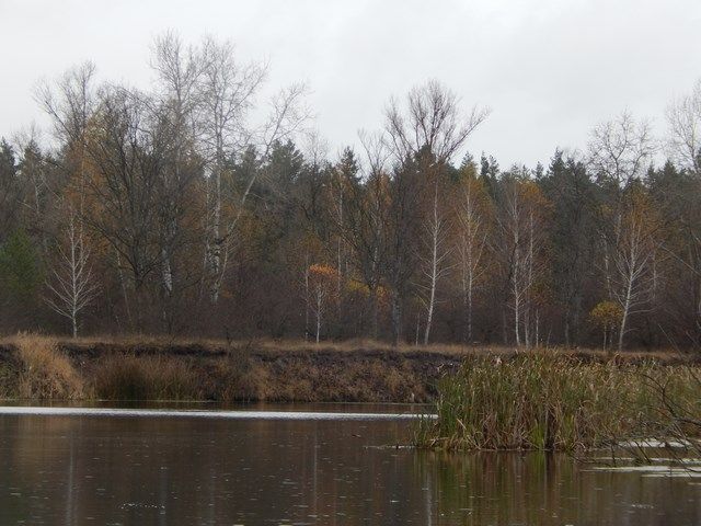 DSCN1649 (Копировать).JPG
