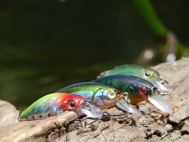 4595f9f3997104898796983d03d6c33e.JPG