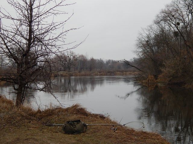 DSCN5862 (Копировать).JPG