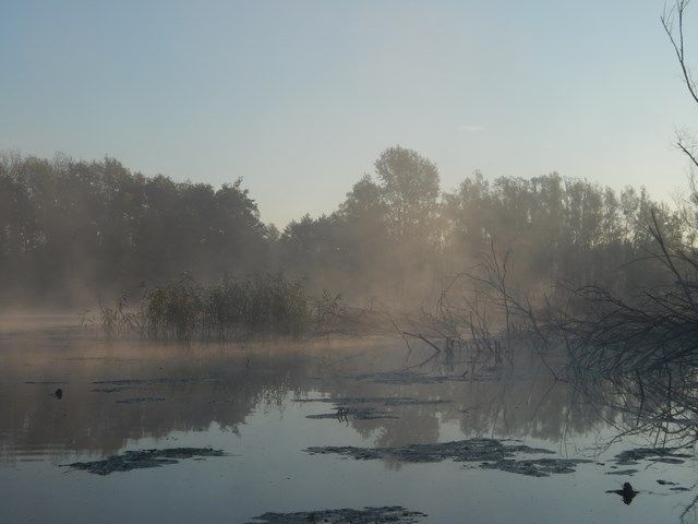 DSCN2479 (Копировать).JPG