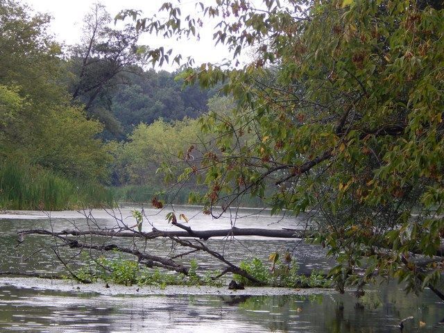 DSCN3184 (Копировать).JPG
