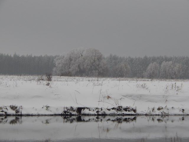 5fbef00819cfbaae7e59d4add787ac6d.JPG