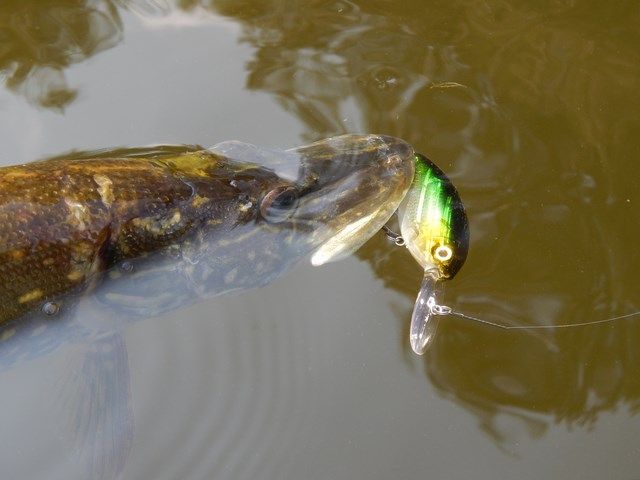67f20411aadc7e79285fa0297933cf56.JPG