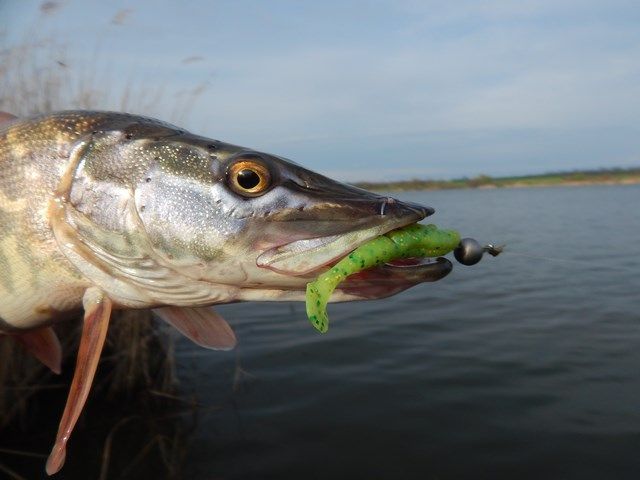 6af9198b467ada410dc63f52e6636737.JPG