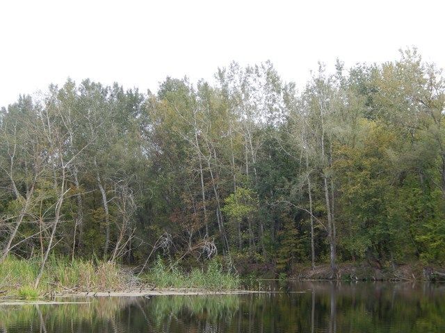 DSCN8848 (Копировать).JPG