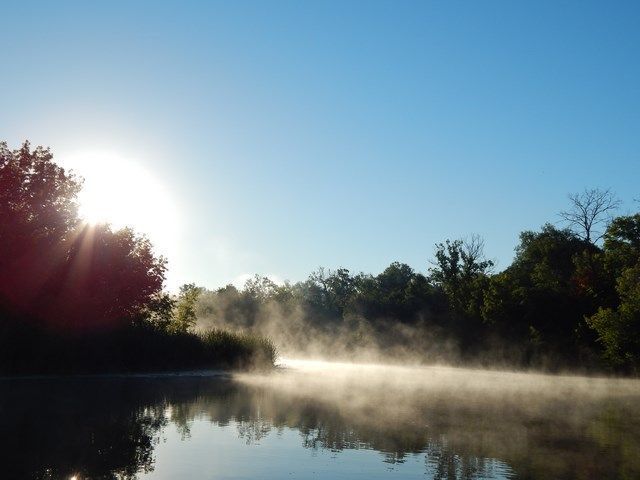 77395951a91347bf277514051e98a0ac.JPG