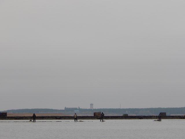 79a543e47c932205789681df5559f70e.JPG