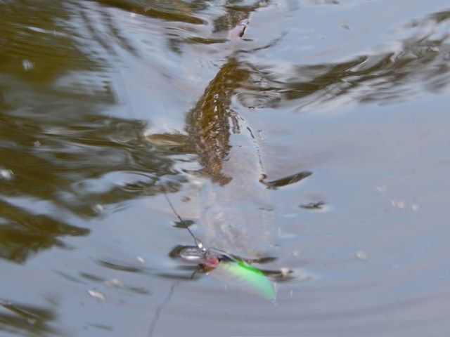 82f7cadc283333bb859f84651d1be90f.JPG