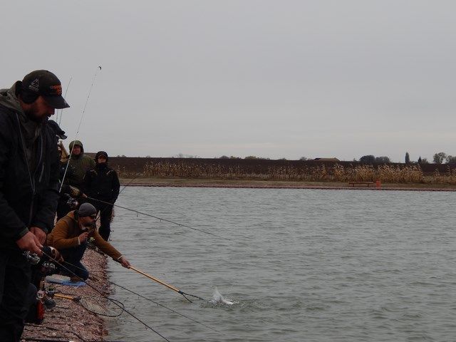 DSCN5794 (Копировать).JPG