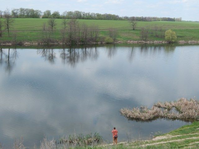 8764741a649311235698a5cf19bcd763.JPG