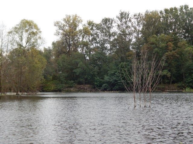 DSCN4391 (Копировать).JPG