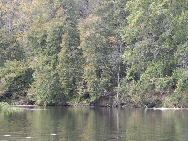 b9e33584f8cc79893eac86328f893f87.JPG