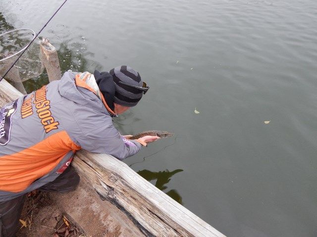 ba061253082fb47eefac39115470b38d.JPG