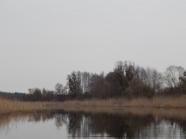 c42be6d8e77d9f4ee70eca56a72d896b.JPG