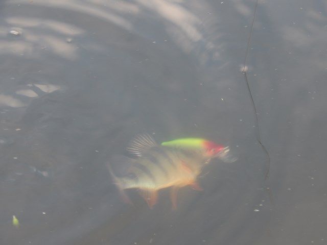 cb77c45670f89ec412291aaaa1d50047.JPG