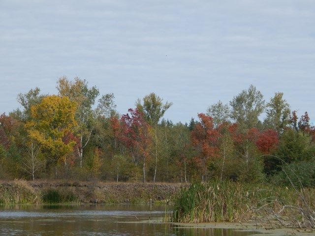cecdf47c2ab0cdcda65fe2186357e0e1.JPG