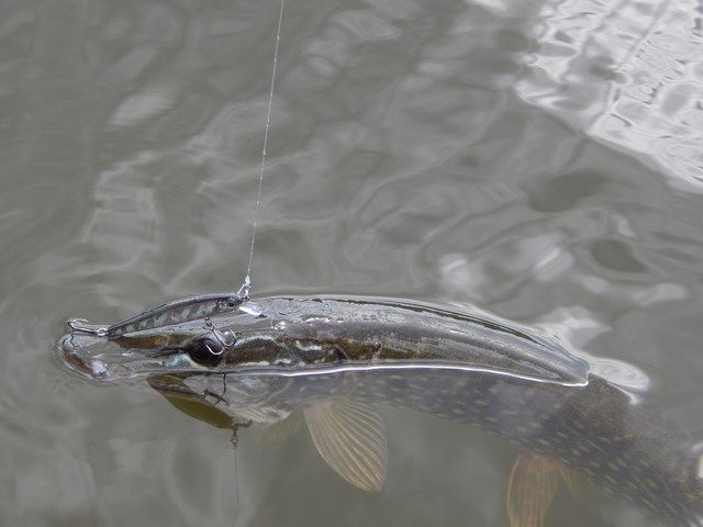 d0313a54072f06916fd0fa06b02bf785.JPG