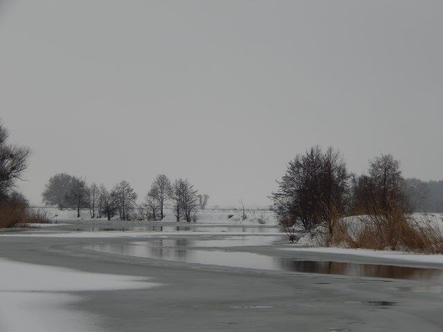 d3c2e7145da691a234d32944f9b2ae08.JPG