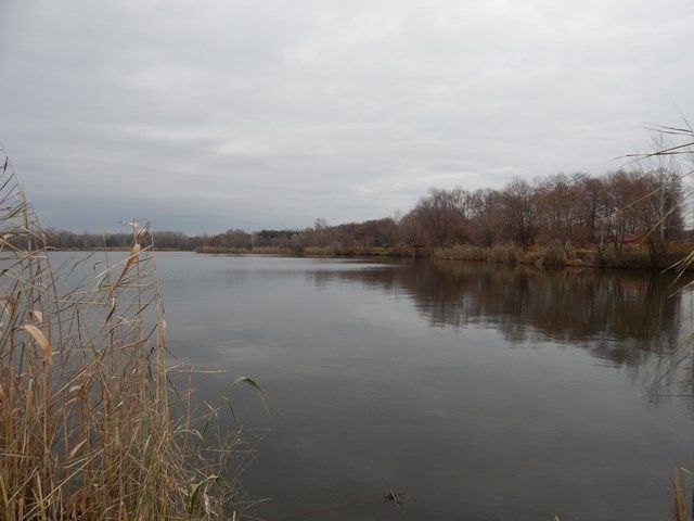 d77806dfae3ad8e2cc3b98b9c64999bc.JPG