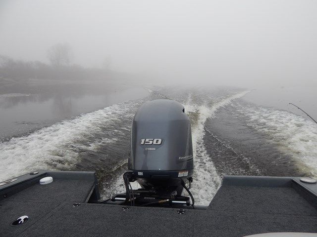 d7d5f982cd0d7492389120caa756e259.JPG