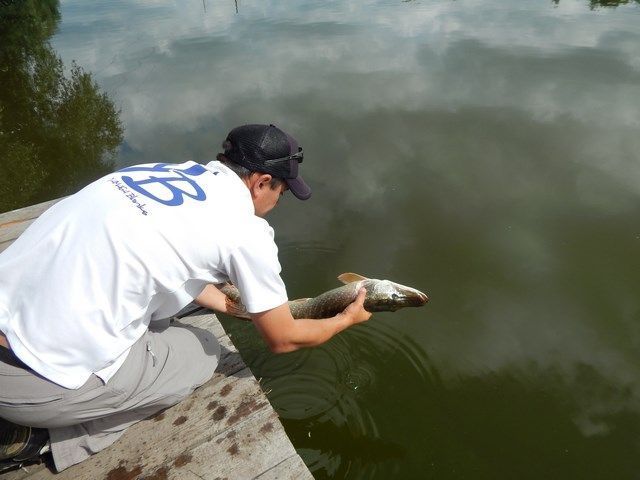 dc9c88c776683df7585dc05b921dab61.JPG
