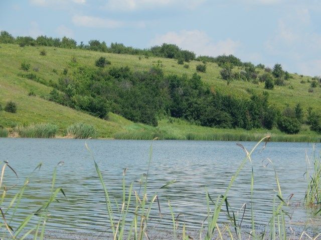 dd080c63d803d3d18cfb027c4b26e9a5.JPG