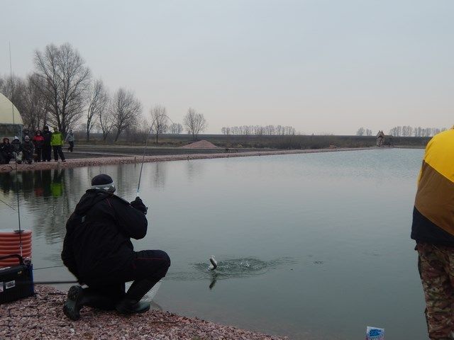 DSCN6776 (Копировать).JPG