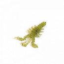Приманка Bait Breath U30 Mosya 1,5