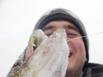 FishingStock на Северском Донце