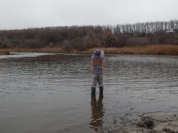 Біля краю русла взимку