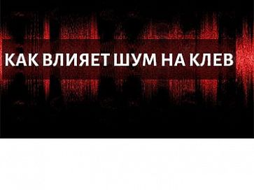 Влияет-ли шум шнура на количество поклевок?