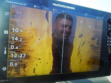 Глубинный судак