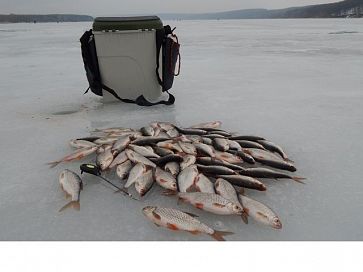 На мормышку