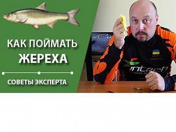 (Видео) Как поймать жереха? | Советы эксперта
