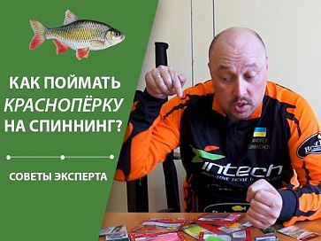 (Видео) Как поймать краснопёрку на спиннинг? | Cоветы эксперта