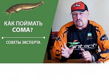 (Видео) Ловля сома на спиннинговые приманки | Cоветы эксперта