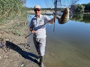 На судаковом водоеме