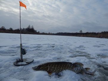 В мороз. День второй